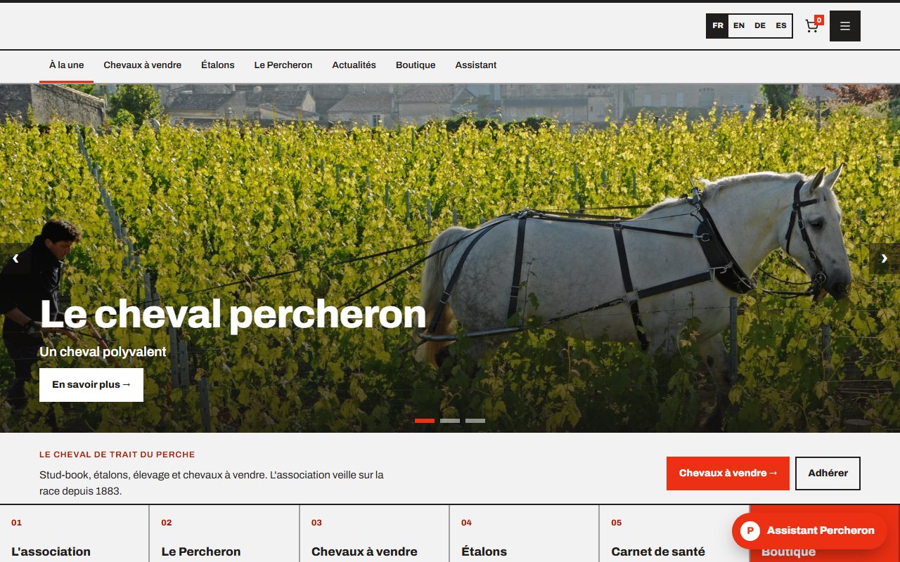 Exemple de site réalisé par notre équipe : page d'accueil