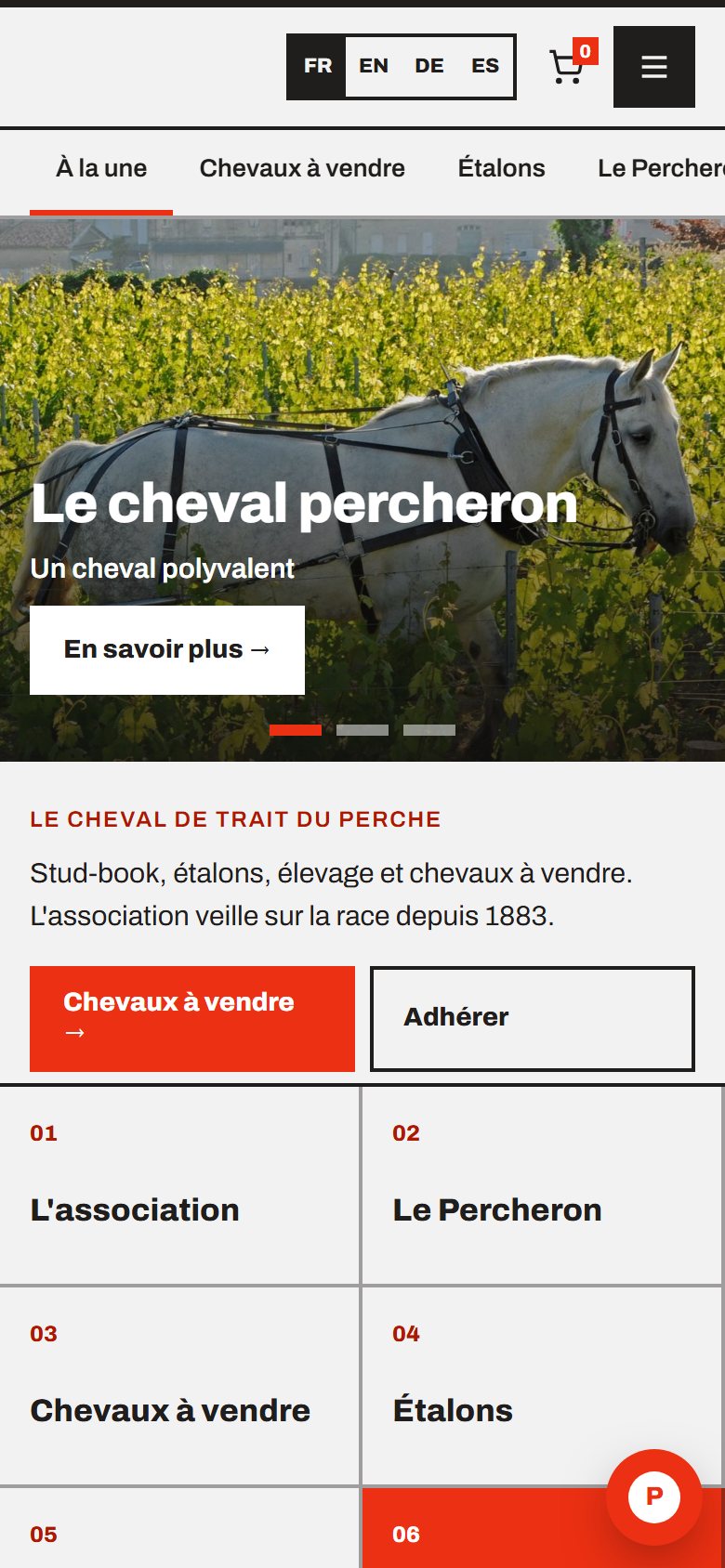 Exemple de site réalisé par notre équipe : sur téléphone