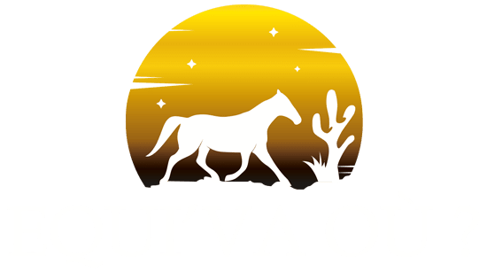 Logo de Equi'va où ?